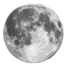 moon-1.png